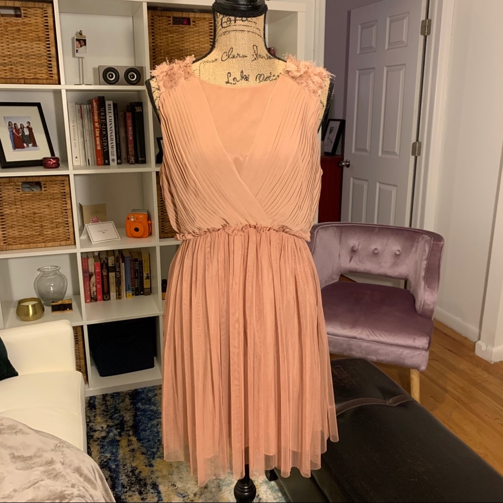 Forever 21 rose applique chiffon tulle dress